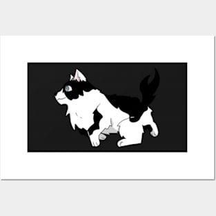 Dog - Border Collie Posters and Art